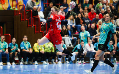 Bären siegen im Derby gegen HSG St. Leon/Reilingen