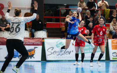 Kurpfalz Bären setzen weiteres Ausrufezeichen